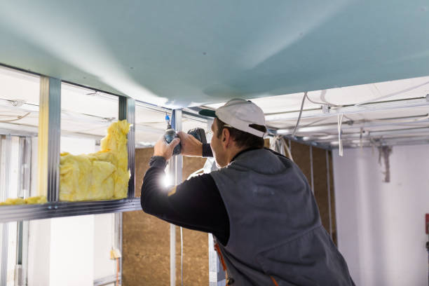 Best Insulation Maintenance and Repair in Butler, WI